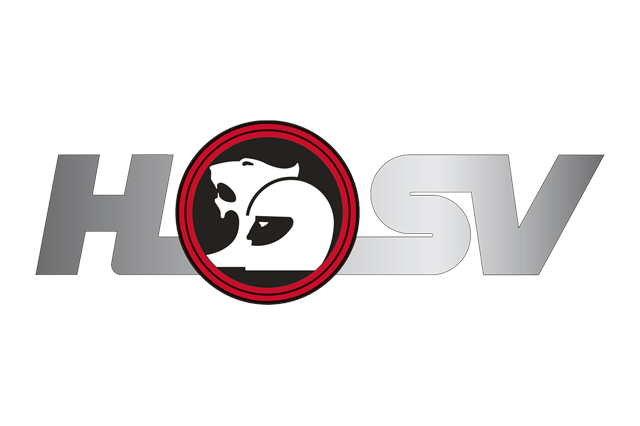 HSV